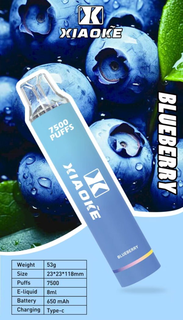 梟客抛棄式7500口 ✨可充電🔋限時活動 💖女生首選【滿7送1】